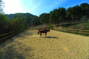 horse lessons
