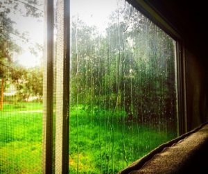 rain on window