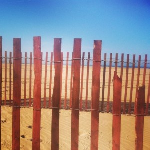 Beach fence