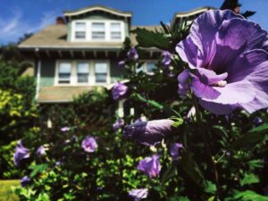 flower in front of a house