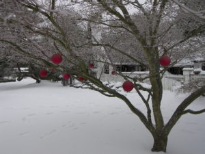 tree decorated with red balls