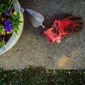 gardening gloves and flower pot