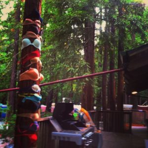 bikini tops on a pole